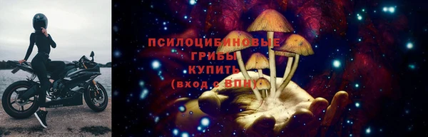 эйфоретик Богородицк