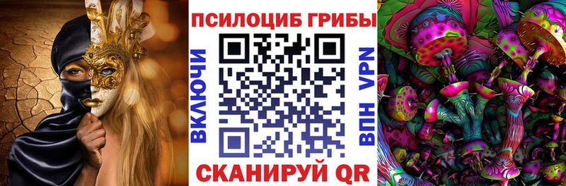 где купить   Октябрьский  Псилоцибиновые грибы Psilocybe 